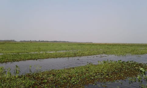 VENDO 200 HECTAREAS EN ARROYOS Y ESTEROS...!!!