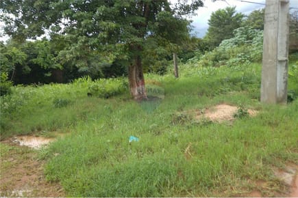 Terreno venta Luque Cuarto Barrio 