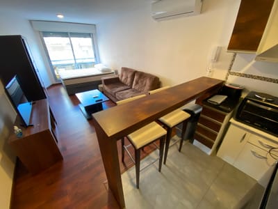 Alquiler Apartamento Monoambiente En Punta Carretas