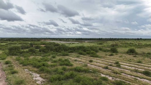 EN VENTA ESTANCIA DE 500 HECTAREAS ZONA TTE IRALA FERNANDEZ, CHACO