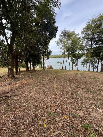 VENDO TERRENO 1HA SOBRE RIO ACARAY