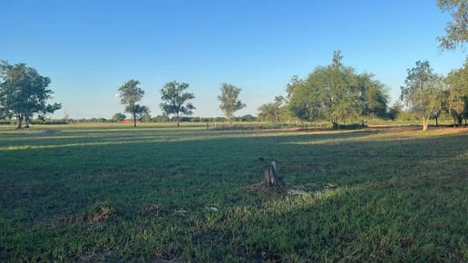 ¡OPORTUNIDAD DE INVERSIÓN EN JOSÉ FALCÓN!