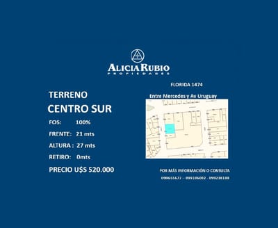 FLORIDA .467 MTS TERRENO. 21 MTS FRENTE., CENTRO SUR