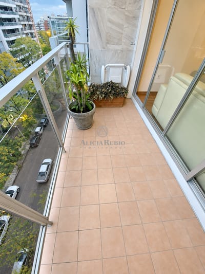 Roque Graseras Casi Villa Biarritz. Piso Alto. Estar. Posible Parrillero, Garaje