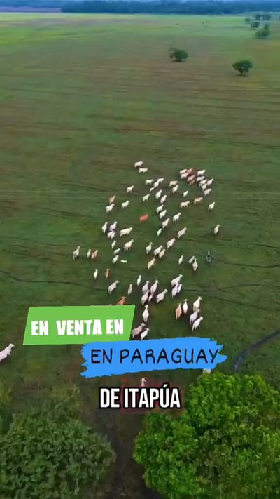 EN VENTA PARA INVERSION AGROGANADERA EN PARAGUAY DE 8.650 HECTÁREAS 