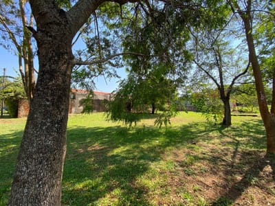 VENDO 3 TERRENOS A UNA CUADRA DE RUTA LUQUE-LIMPIO