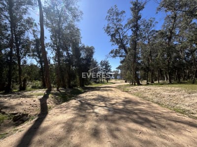 Terreno Barrio Reserva Montoya