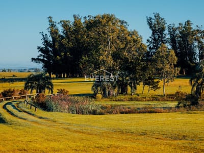 La Morenita Jose Ignacio