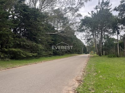 Venta Terreno en Rincón del Indio