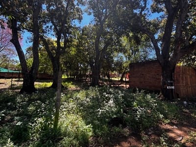 ????✨ TERRENO EN VENTA SOBRE ASFALTO – LUQUE ISLA BOGADO ✨????