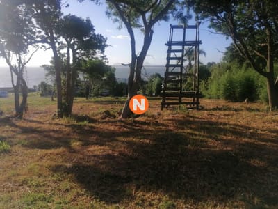 VENTA DE TERRENO EN EL LOMO DE PUNTA BALLENA