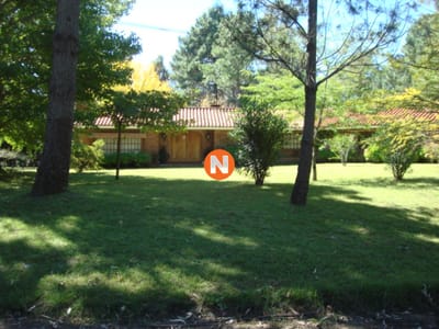 Casa en Punta Ballena a pasos del mar