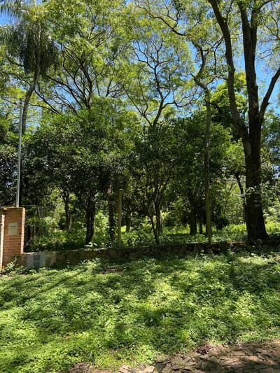 Vendo terreno San Bernardino Cristobal Colon