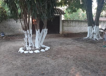 Inmueble # 113 TERRENO DOBLE VIA LA GUARDIA