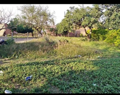 Lote (Ref. 70947970)