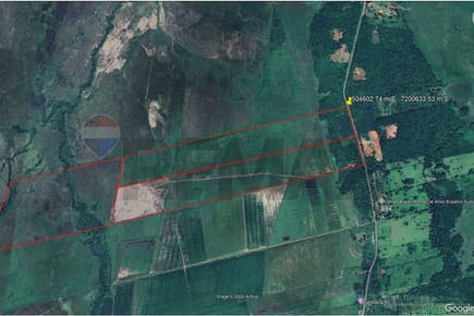 CAMPO EN EUSEBIO AYALA 50 HECTÁREAS SOBRE ASFALTO