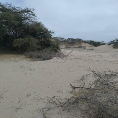 VENTA TERRENO COMERCIAL/INDUSTRIAL POZO SANTO (ICA)