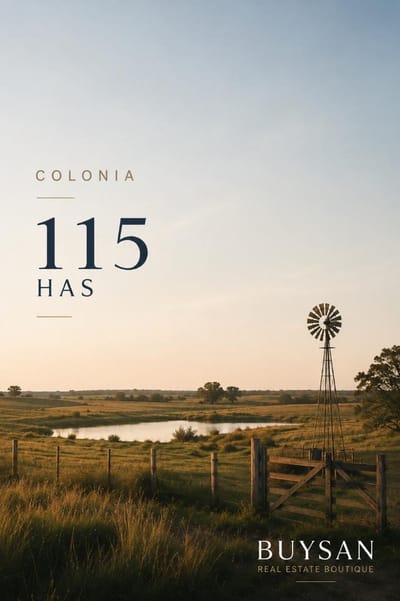 Excelente oportunidad de campo agrícola-ganadero de 115 hectáreas, ubicado en Paraje Tres Esquinas, departamento de Colonia
