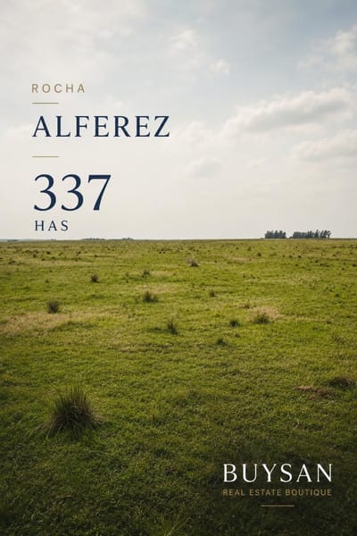 Excelente campo ganadero de 337 hectáreas, ubicado en Alférez, departamento de Rocha
