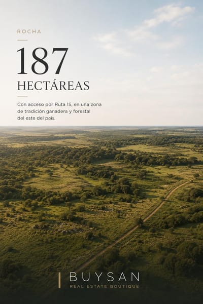 Campo de 187 hectáreas ubicado en el departamento de Rocha, con acceso por Ruta 15, en una zona de tradición ganadera y forestal del este del país.