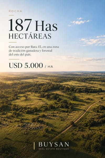 Campo de 187 hectáreas ubicado en el departamento de Rocha, con acceso por Ruta 15, en una zona de tradición ganadera y forestal del este del país.