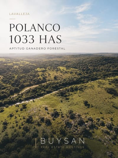 Establecimiento rural de 1.033 hectáreas, ubicado en la zona de Polanco, departamento de Lavalleja