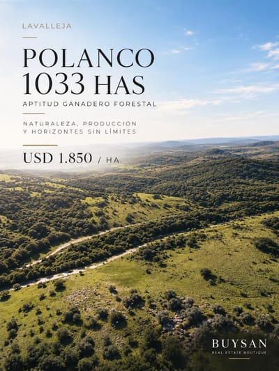 Establecimiento rural de 1.033 hectáreas, ubicado en la zona de Polanco, departamento de Lavalleja