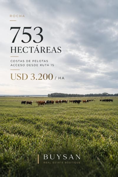 Campo de 753 hectáreas, ubicado en la zona de Costas de Pelotas, al norte del departamento de Rocha, con acceso desde Ruta 15.