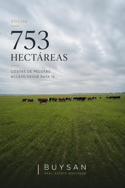 Campo de 753 hectáreas, ubicado en la zona de Costas de Pelotas, al norte del departamento de Rocha, con acceso desde Ruta 15.