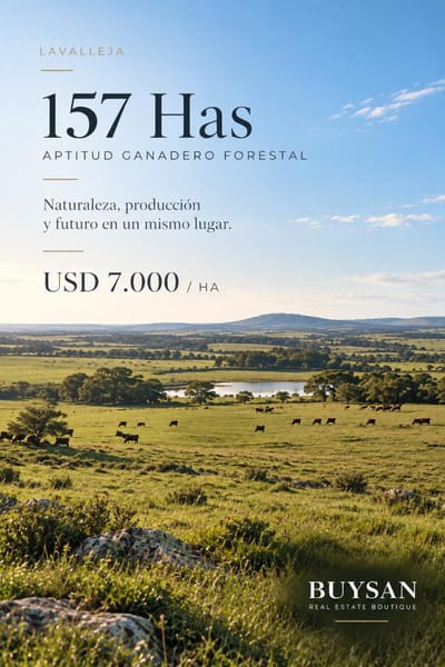 Campo agrícola – ganadero de excelente productividad, ubicado sobre Ruta 108, a tan solo 25 km de Minas, en el departamento de Lavalleja.