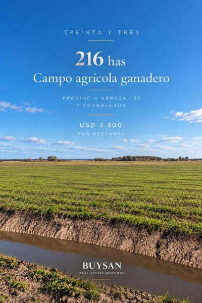 216 Has en Venta Campo agrícola ganadero en Treinta y Tres