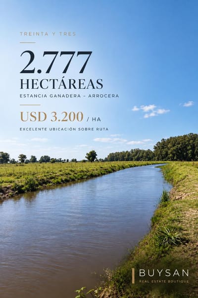 Estancia Ganadera – Arrocera en Treinta y Tres | 2.777 ha