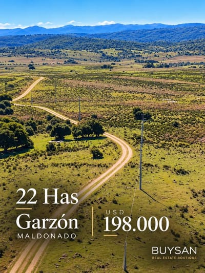 Campo de 22 hectáreas, ubicado al norte de Pueblo Garzón, a aproximadamente 13 km del pueblo.