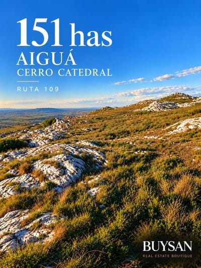 151 Has Cerro Catedral, Ruta 109 a 14 km de Aigua