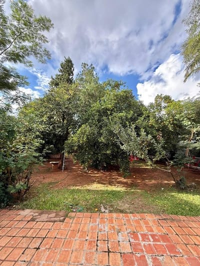VENDO TERRENO EN LOS LAURELES!