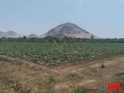 Terreno DE 1 Hectarea (10,000 M2) EN Barraza - AV Prolongacion Villareal