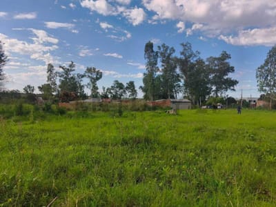 Terreno en San Lorenzo 