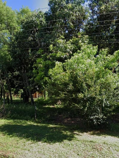 Terreno