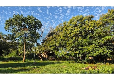 Vendo Terreno 3052m2 en Luque 
