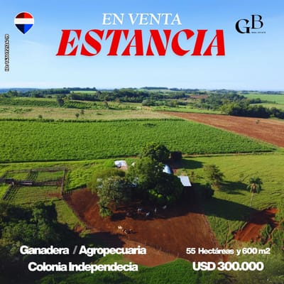 ESTANCIA  EN VENTA COLONIA INDEPENDENCIA