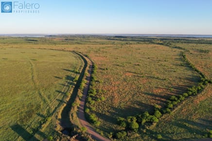 Campo en venta de 480ha ubicado en El Espinillar