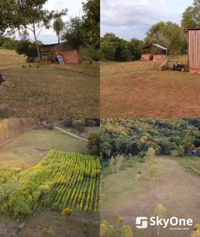 En venta granja de 3.5 hectáreas en caaguazu 