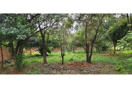 VENDO TERRENO EN LUQUE ZARATE ISLA