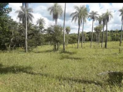 Propiedad Rural de 2,65 Hectáreas en Venta – Caacupé