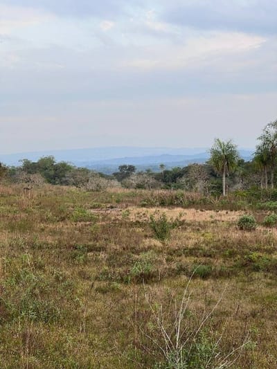 9,5 Hectáreas en Piribebuy – Zona Ojopoi