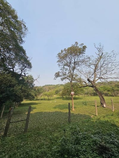 VENDO PROPIEDAD EN ALTOS A 600 MTS DE RUTA