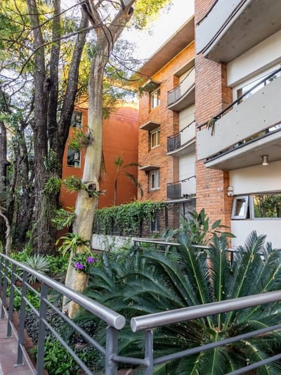 ¡oportunidad Para Inversores! Edificio 100% Alquilado - Renta Desde El Dia 1