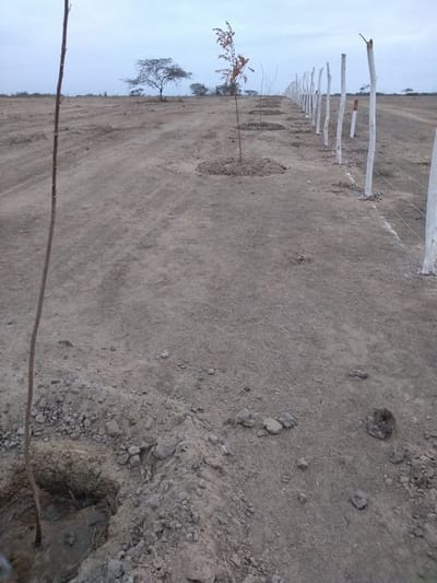 TERRENO CAMPESTRE EN ZARUMILLA, TUMBES 