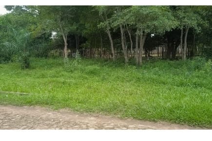 VENTA DE TERRENO NUEVA COLOMBIA, CORDILLERA