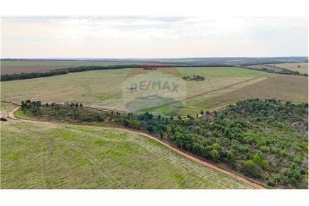 Estancia Agro Ganadera de 2.045 hectáreas en San Pedro 